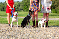 Greg & Leesa | Rehearsal & Groomsmen