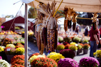 Fall Things | 10.14.2019